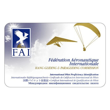 IPPI Card 6